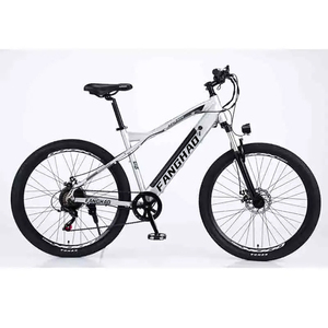 Fanghaoバイク48V 17ah 500W大人ハブ女性用ファットタイヤ自転車シティBicicleta Electrica