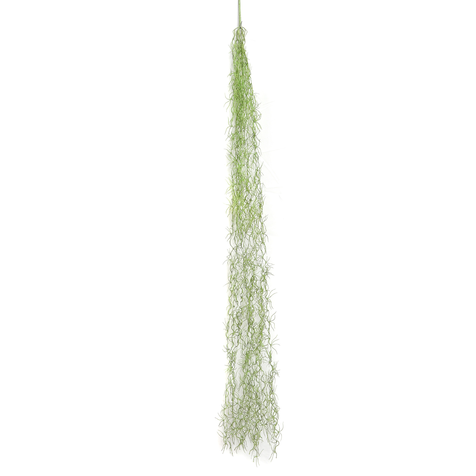 Vert 05