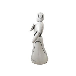 Advanced Platform Humanoid Artificial Intelligence <strong>Robot</strong> - Product Image 5