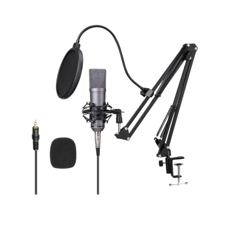 Pabrik Langsung Menjual Desktop Mikrofon Studio Rekaman Professionnel Vokal dengan Berdiri dan Filter untuk Pc Mikrofon MIC