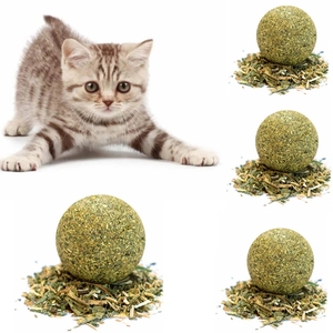 Juguetes de hierba gatera para mascotas Bola de hierba gatera comestible Seguridad Gato saludable Menta Juego de persecución en casa Productos de juguete Limpiar los dientes El estómago Menta - Product Image 1