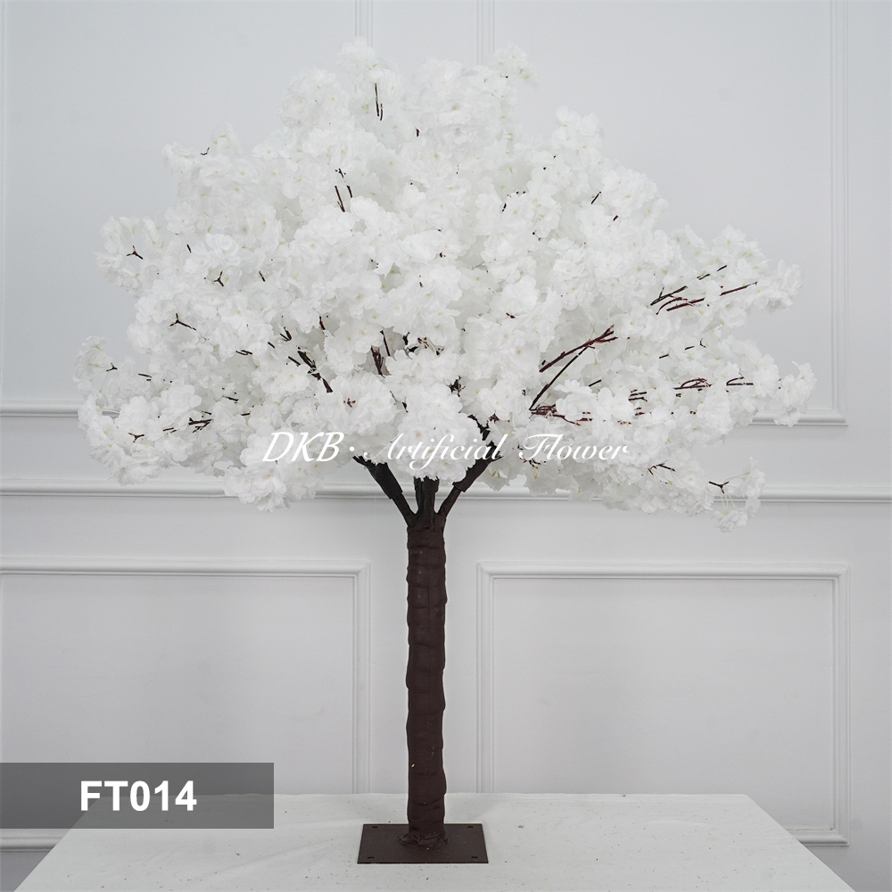 FT014
