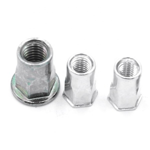 <strong>M4</strong> - M12 Stainless Steel Flat Head Open End Semi Hex <strong>Rivet</strong> <strong>Nut</strong> Aluminium Knurled Closed Pop Blind Hex Coupling <strong>Nuts</strong>