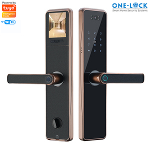 Front Door Lock with Door Outside Viewing Camera and Doorbell