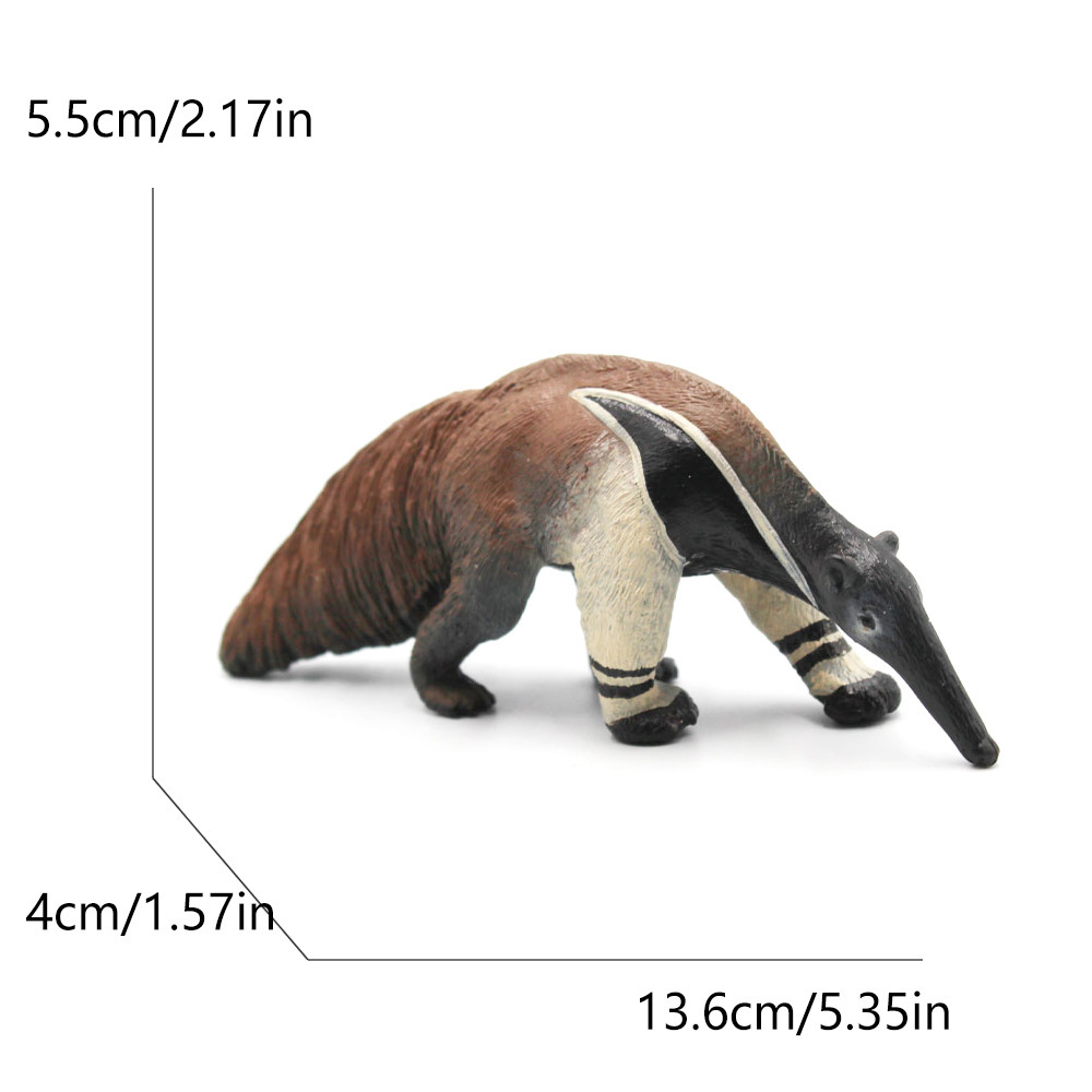 2572 fourmilier-pourri 844g