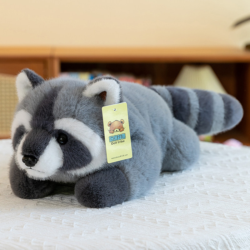 cachorro de mapache