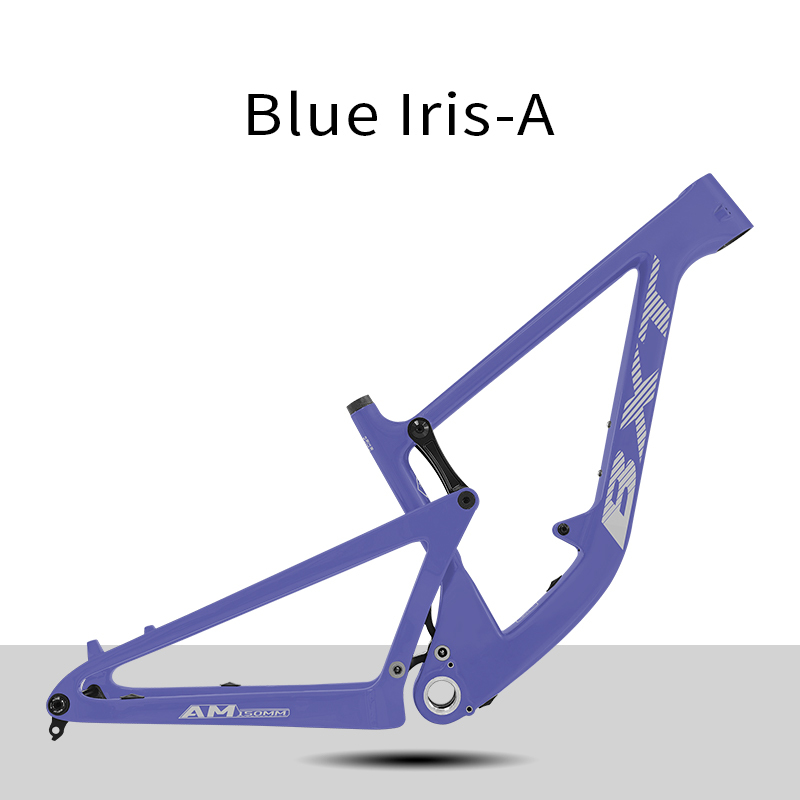 Blue Iris-A