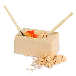 热卖恐龙化石骨骼挖掘DIY学前学习教育茎科学套装儿童玩具 - Product Image 3