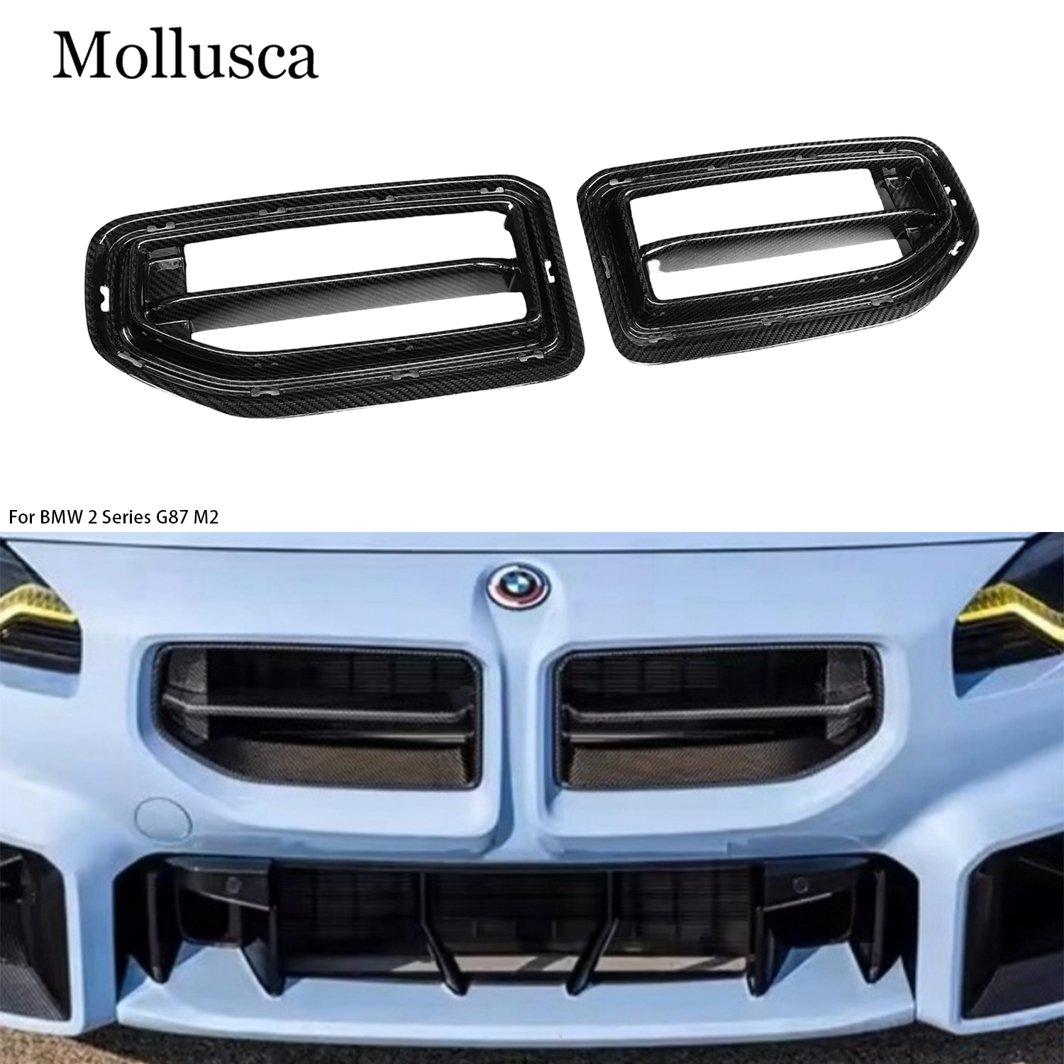 G87 Dry carbon Front Grille