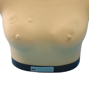 ADA Medical Teaching Advanced Breast Examination Model(wearable Design) and Senior Breast Inspection and <strong>Palpation</strong> Model - Product Image 3