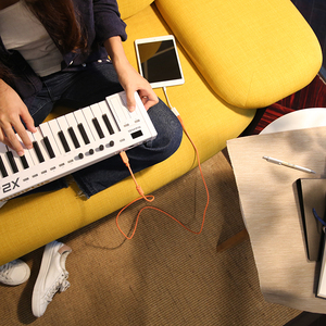 Midiplus X2 Mini 25-<strong>Key</strong> USB MIDI <strong>Keyboard</strong> <strong>Controller</strong> Digital Electronic Midi Pad <strong>Controller</strong> <strong>Keyboard</strong> Musical Instrument - Product Image 4