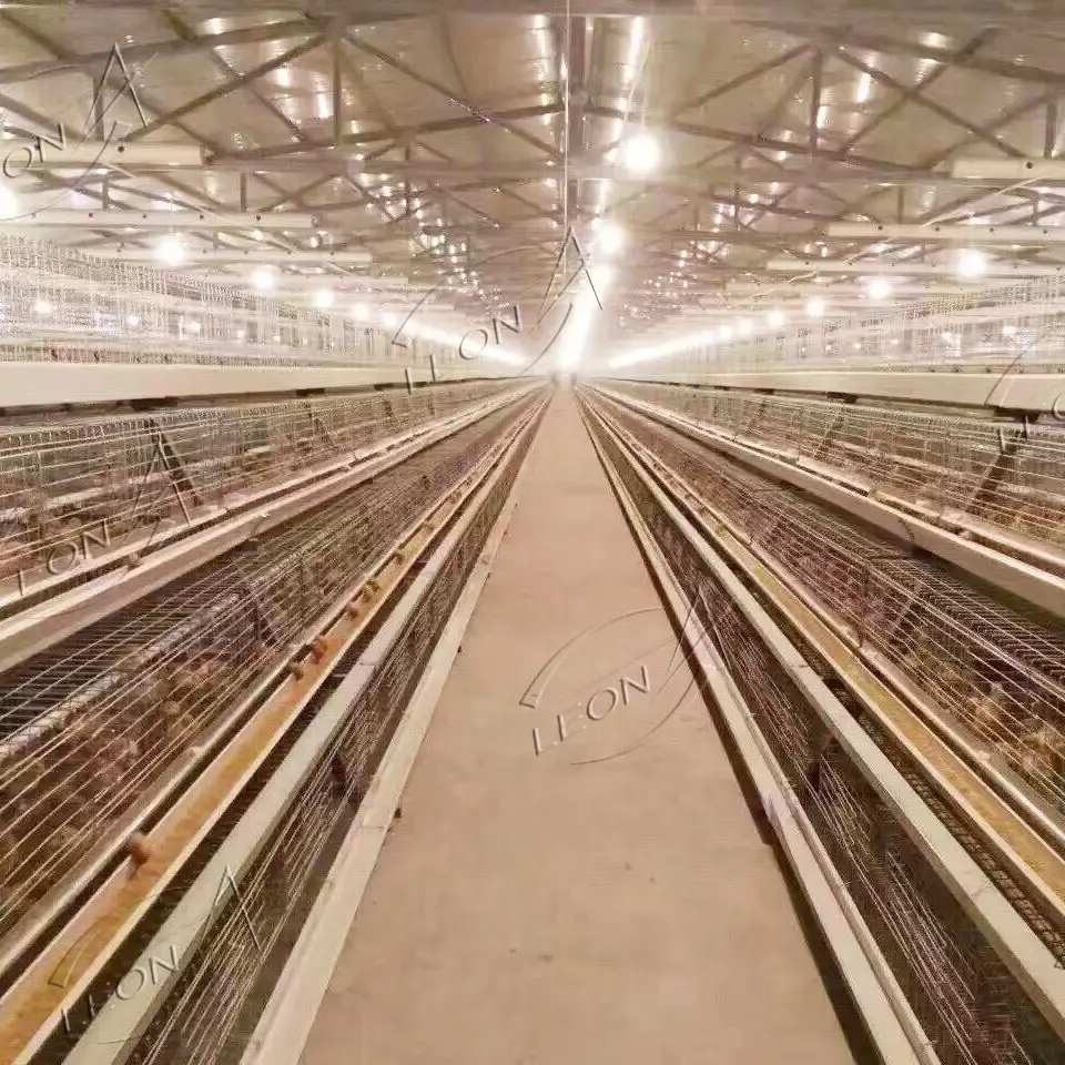 Equipo de maquinaria agrícola de bajo precio, jaulas de pollo de capa tipo A para granja avícola de Gallinero