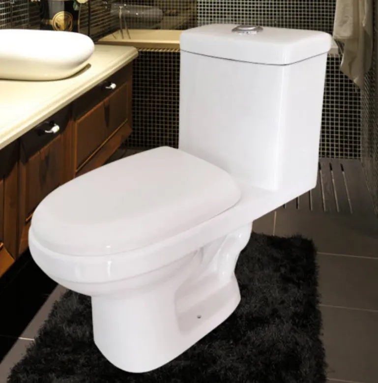 SAIRI 2022 Penjualan Terbaik 100% Diperiksa Siphonic Satu Piece Toilet untuk Meksiko Amerika Selatan