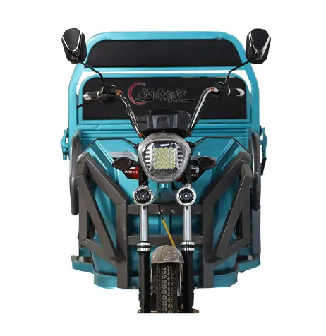 मॉडल ई-रिक्शा शक्तिशाली चढ़ाई क्षमता 1000W मोटर इलेक्ट्रिक कार्गो ट्राइसाइकिल