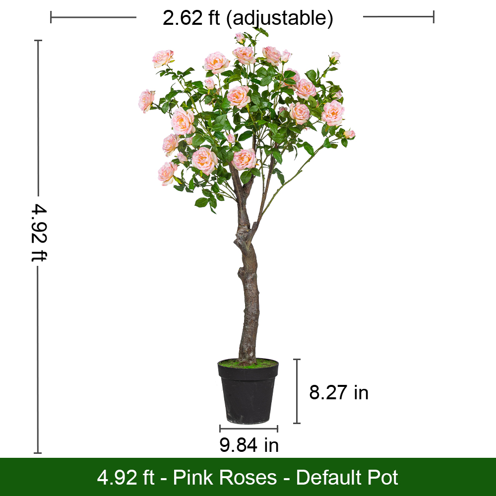4,92 pieds de roses roses