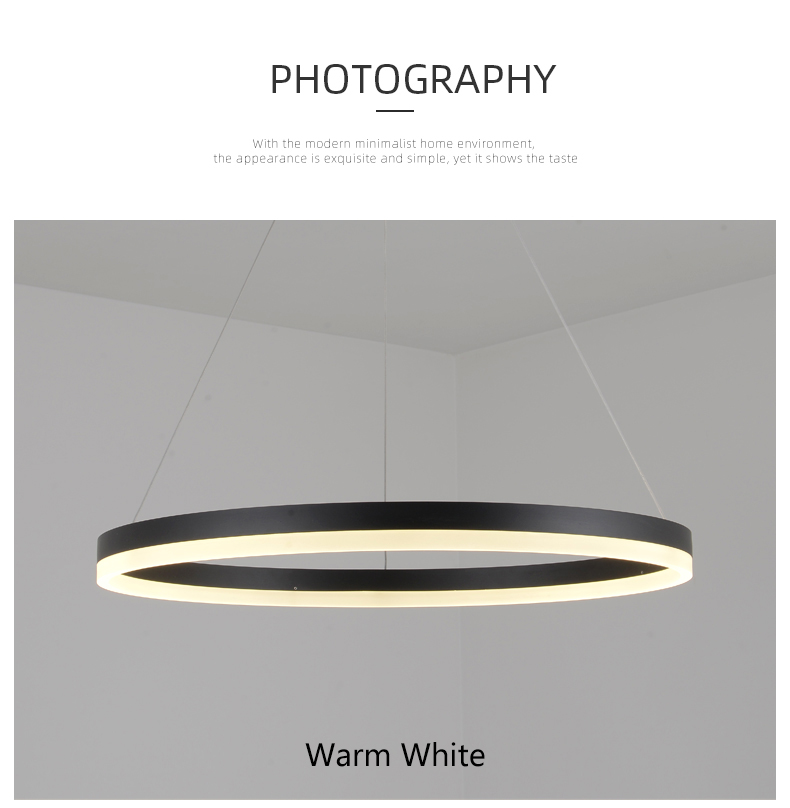 Modern nordic minimalist Restaurant living room decoration Aluminum Acrylic Circle Ring LED Chandelier