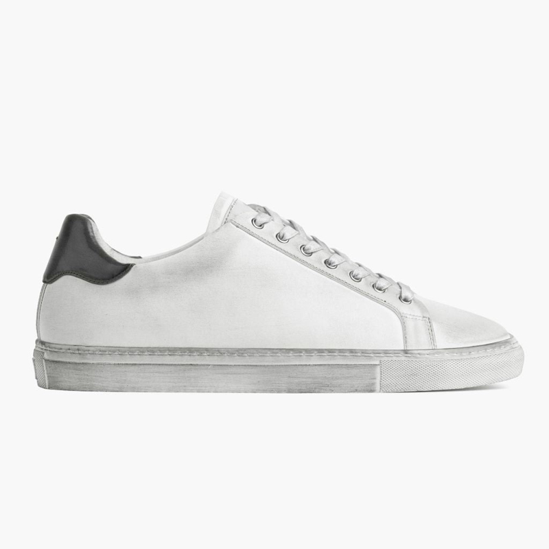 Color 4 Esquema de color