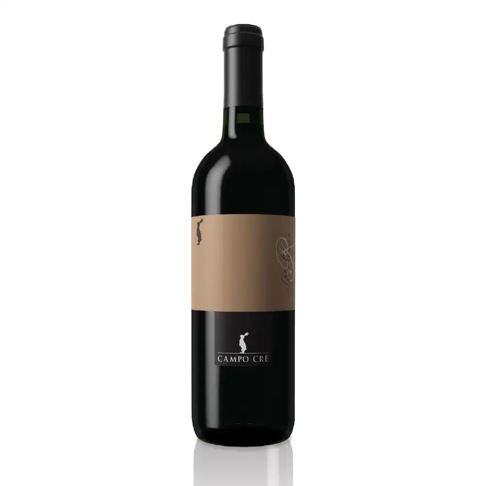 Vin rouge IGT Marca Trevigiana Raboso 0,75L vin italien de haute qualité