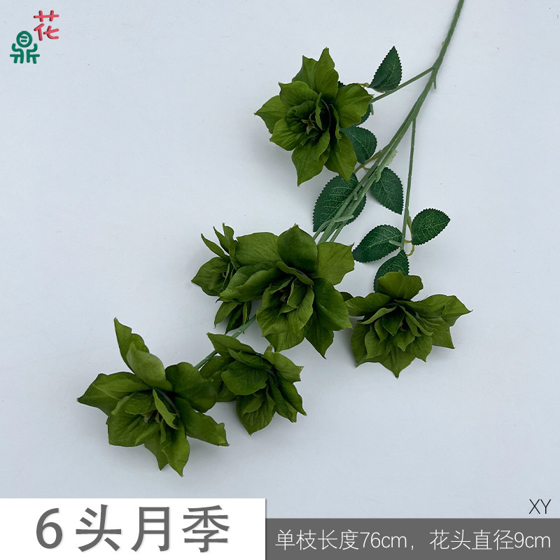 Rose à 6 têtes XY Vert