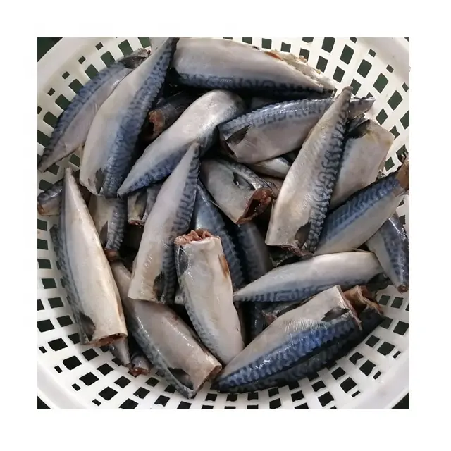 缶詰会社のための冷凍HGTサバ魚、魚の頭を切るサバ