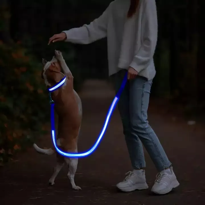 Qbellpet yeni varış toptan aydınlatıcı yürüyüş gece parlayan USB şarj edilebilir Led lamba köpek tasma