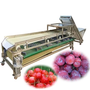 Buona Prestazione Plum Date Smistamento Macchina Grader Date di Classificazione Macchina - Product Image 1