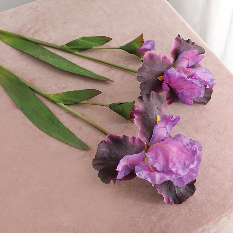 morado oscuro