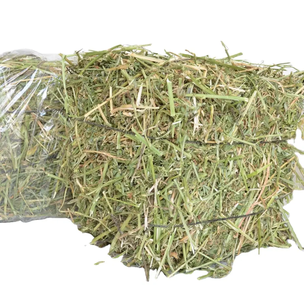 Mangiatoia di fieno di erba medica turca di alta qualità alimentazione animale di fieno in vendita alimentazione animale erba medica turca