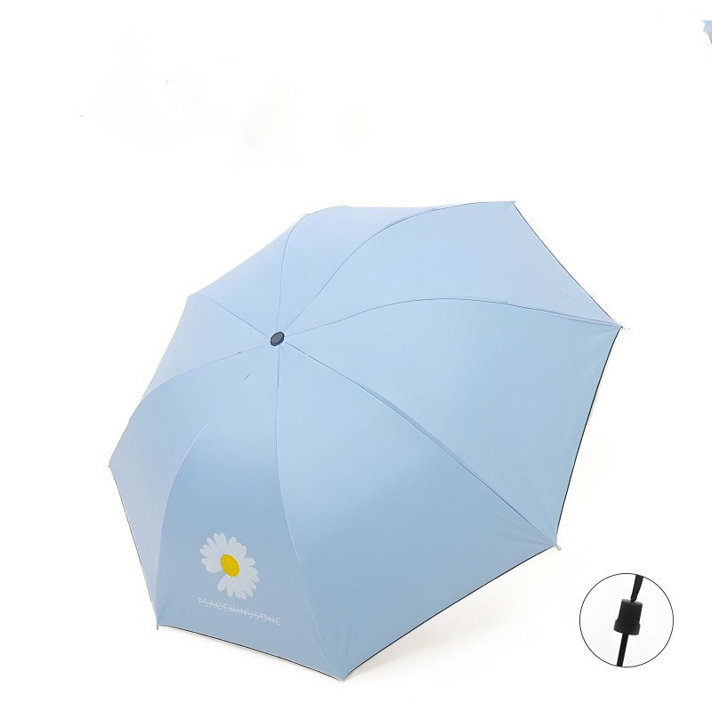 Manual Daisy - Azul Claro