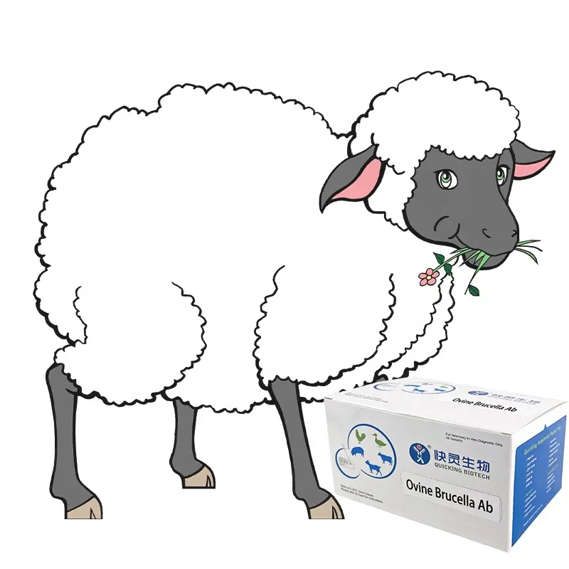 Kit di rilevamento delle malattie degli animali industriali della striscia reattiva per la prova dell'anticorpo della brucella per ovini e ovini