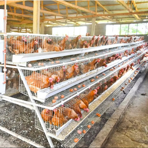 96/120/128/160 Chim Hai Lớp Gà Lồng 3/4 Tầng Gia Cầm Nuôi 500 Gà Pin Trứng Lớp Gà Lồng Cho Đẻ Gà - Product Image 1