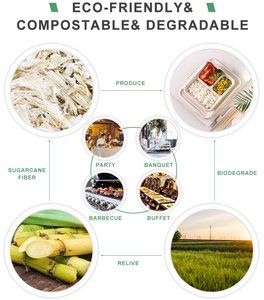 BPI sertifikalı tek kullanımlık 8 inç Bagasse hamuru 3 bölme kapaklı kutu biyobozunur tek kullanımlık 3-Compt kapaklı 8 inç kutu - Product Image 4