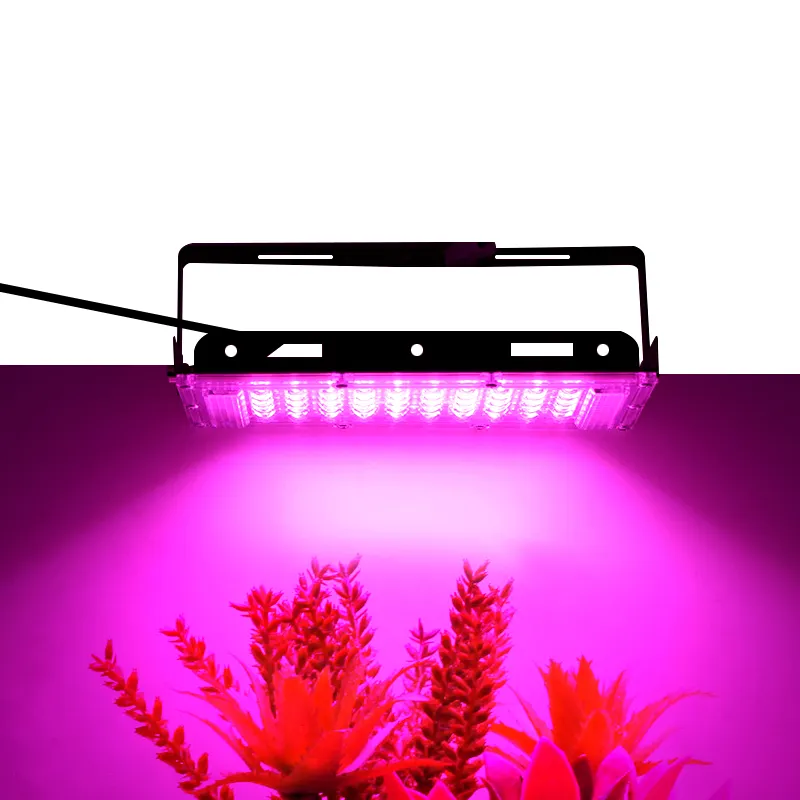 I più venduti usati serra coltiva le luci vendita idroponica a spettro completo lampada a led per la crescita delle piante impermeabile per la luce delle piante