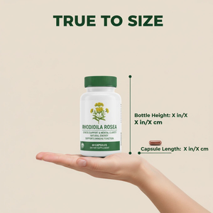 Rhodiola Rosea Capsules - Voor volwassenen - OEM/ODM Private Label - Adaptogene stressverlichtende energieboost supplement - 60 capsules/fles - 2 - Product Image 3