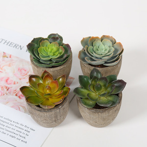 FCP1203 çeşitli küçük Echeveria kraliçe çiçek tek Succulents yapay bitkiler