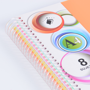 Оптовая продажа, специальная цена, A4, большой размер, разноцветные, подходящие по цвету профессиональные французские линии, внутренние страницы, спиральный блокнот - Product Image 3