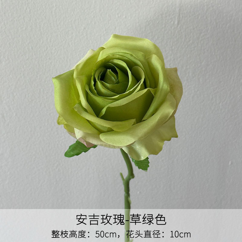Rose anji vert herbe