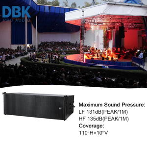 مكبر صوت داخلي/خارجي مزدوج 12 بوصة صفيف خط مكبر صوت خشبي خزانة مزدوجة 12 بوصة يعمل بنظام مكبر صوت LA - Product Image 4