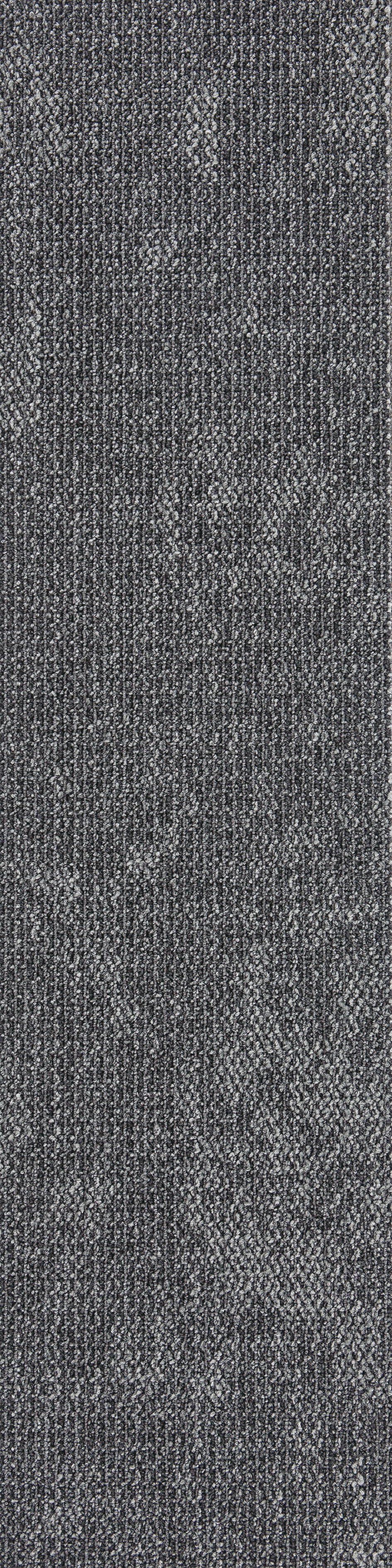 Gris16