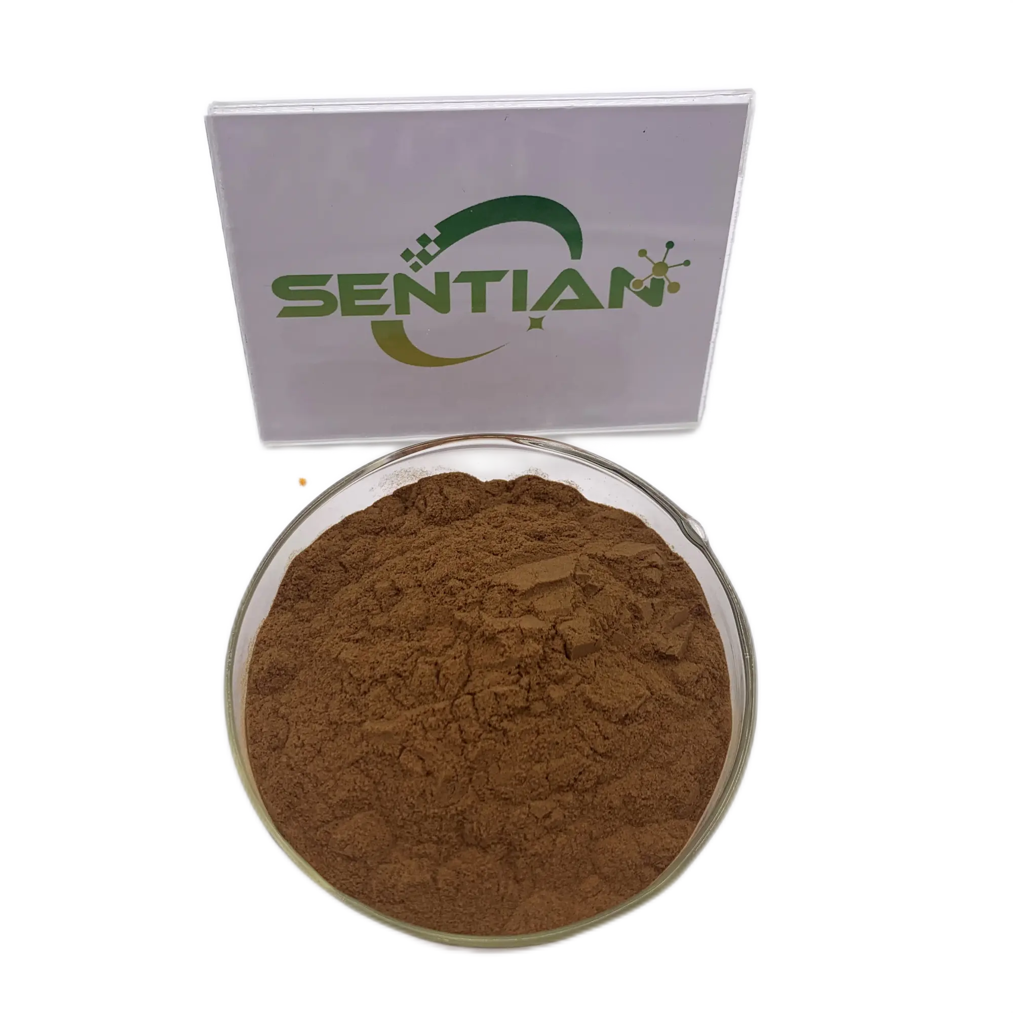 Tongkat Ali Herbal High Quality Tongkat Ali Extract powder