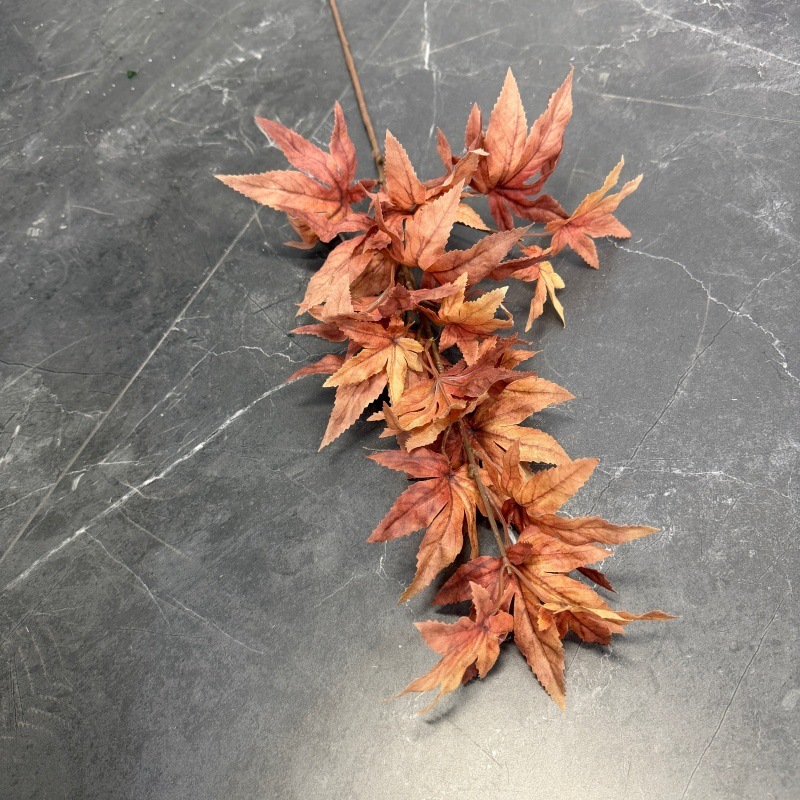 Feuilles d'érable