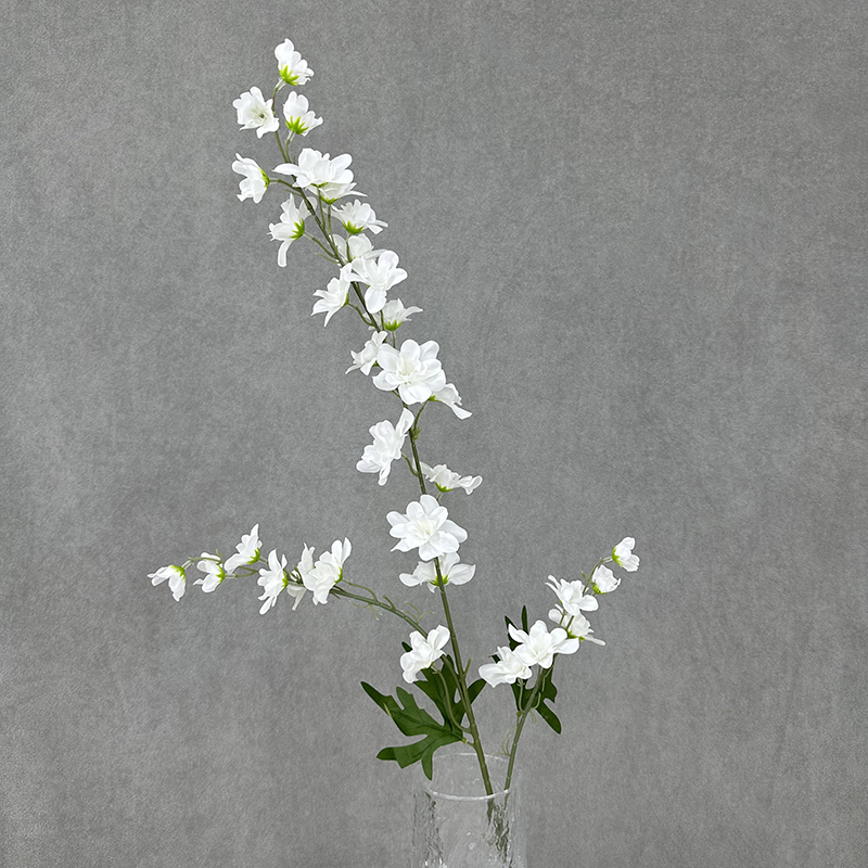blanc pur