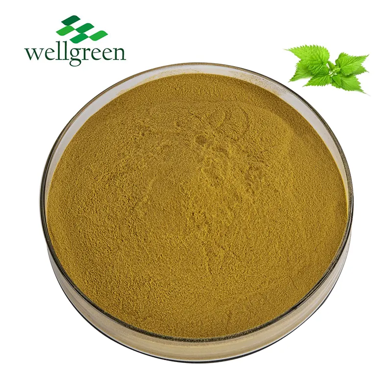 Wellgreen, низкая цена, порошок экстракта Urticae Urtica Dioica Radix Stinging Root Nettle Leaf