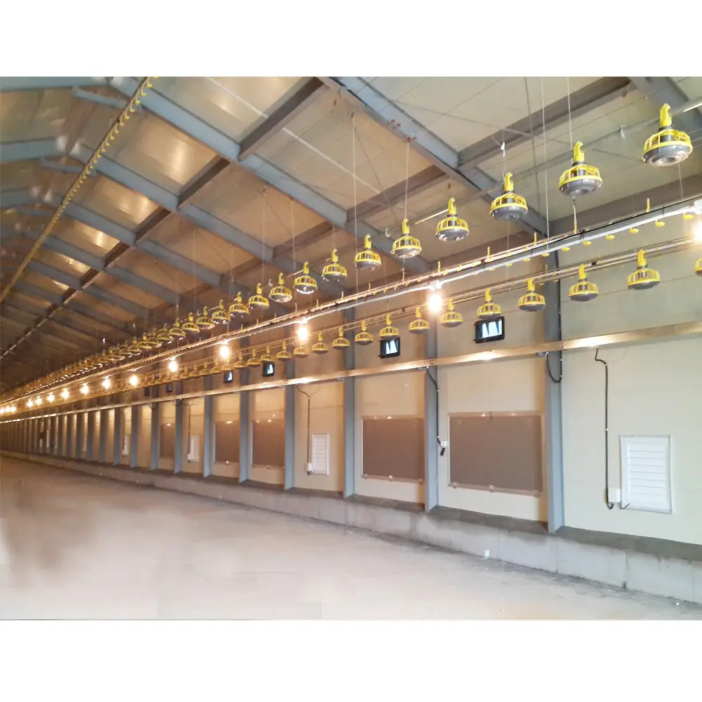 Système d'alimentation automatique à bas prix préfabriqué hangar d'élevage de volaille de conception de poulailler industriel