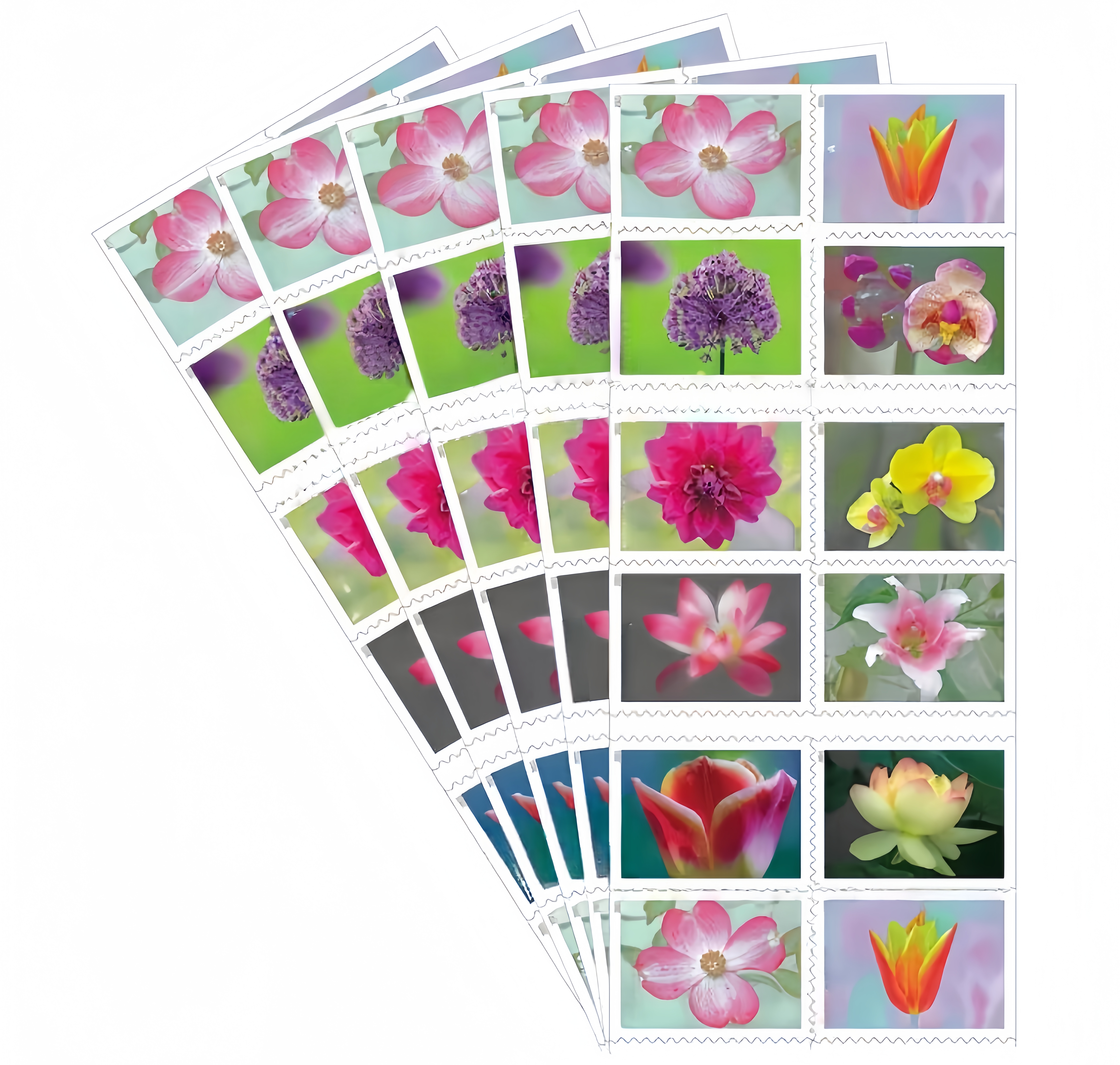 2021Belleza del jardín (100 piezas) 500374-A7-8-21HY