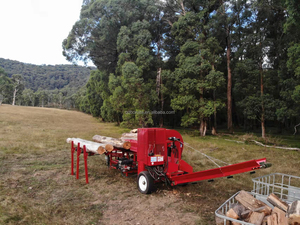 Macchine per la lavorazione della legna da ardere da 50 tonnellate per la produzione di tronchi per taglio di alberi Diesel/benzina/elettrico con grande sega circolare - Product Image 4
