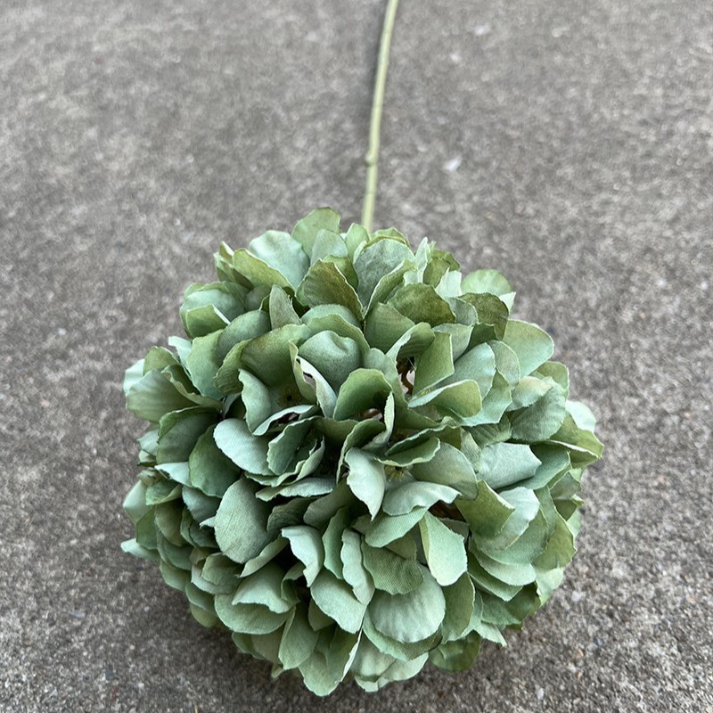 Peinture à l'huile à tête unique, hortensia sauvage vert