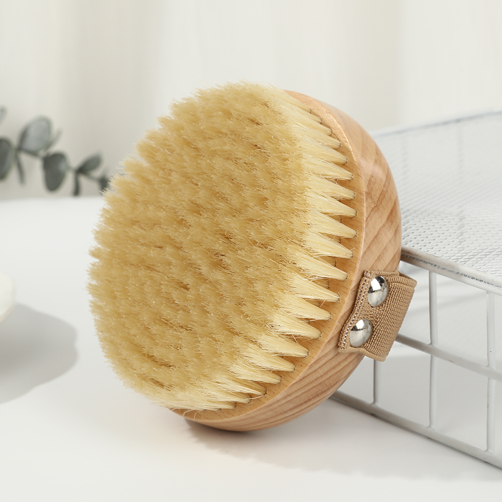 Brosse pour le corps à poils, 10,5 x 10,5 cm