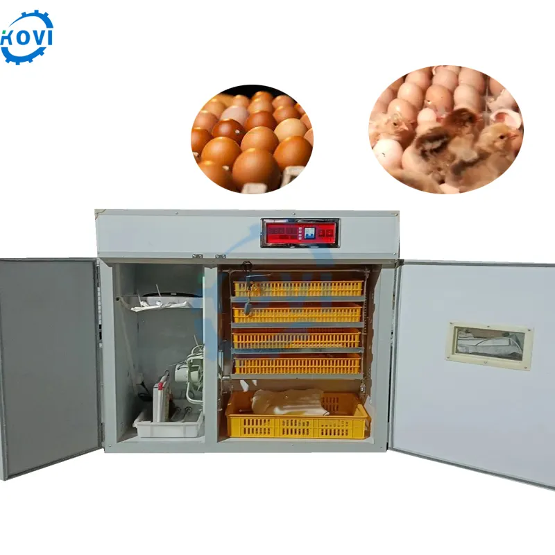 Satılık üç amaçlı kuluçka ve broş makinesi hatch makinesi kanatlı yüksek kaliteli yumurta kuluçka
