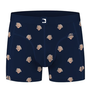 Nhà Máy Cung Cấp Boxer Quần Short Nén Người Đàn Ông Đồ Lót Thoáng Khí Boxer Tóm Tắt Quần Short Sexy Tùy Chỉnh In Mens Boxer Tóm Tắt - Product Image 6